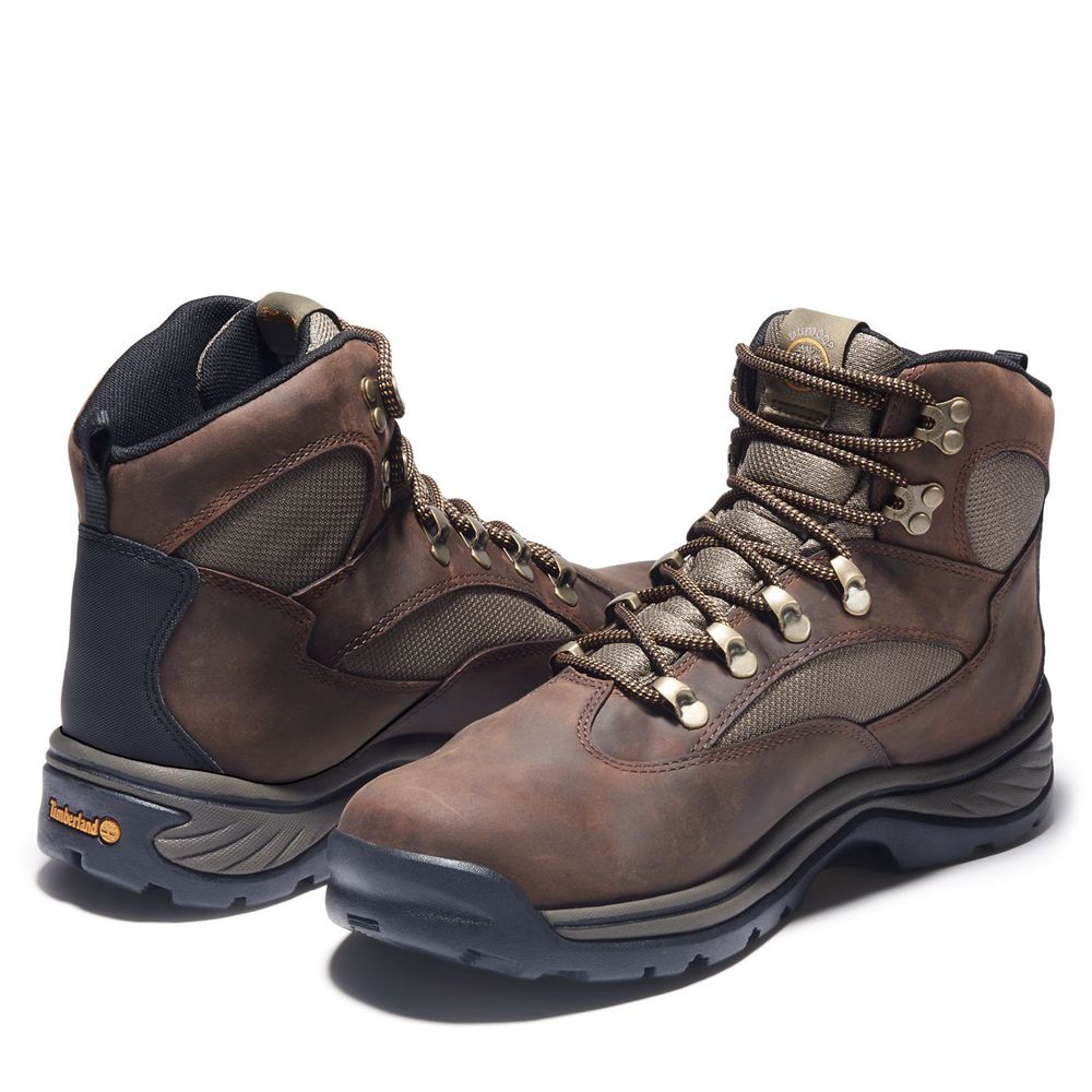 Timberland Mens Hiking Boots Chocorua Trail Mid Waterproof - Brown - India SD4905368